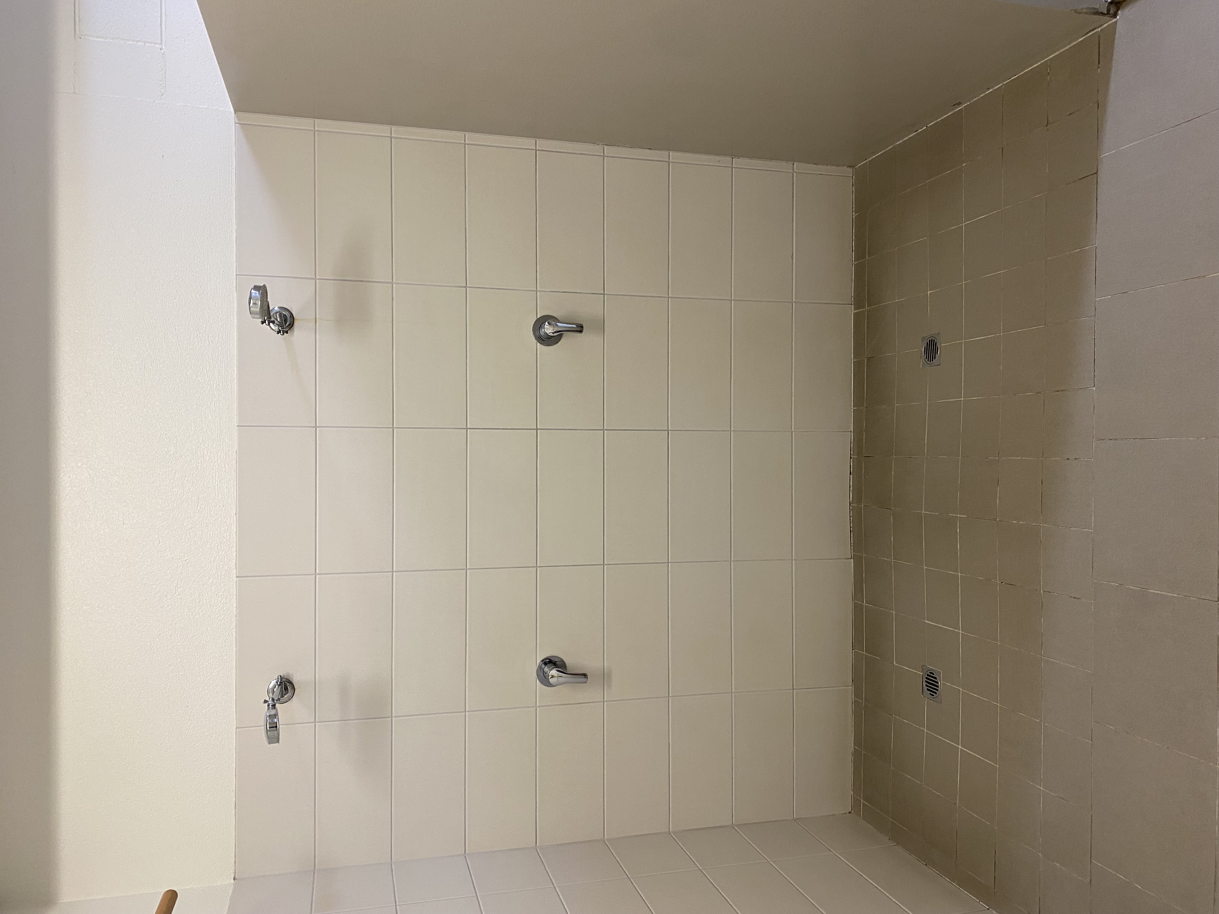 Cleaned tiled shower area